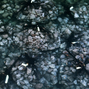 SedimentⅤ