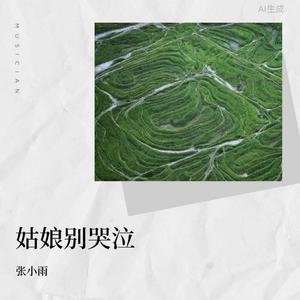 姑娘别哭泣(烟嗓版)