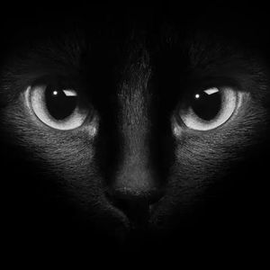 VESK GREEN 青菜-4/4 For My Life（S1mple remix）