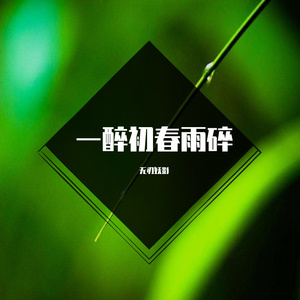 田园 • 一醉初春雨碎