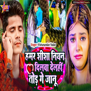 Hamar Shisha Niyan Dilwa Delhi Tod Ge Janu