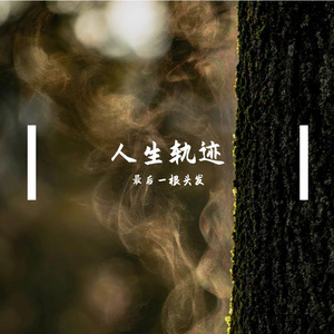 遇见你