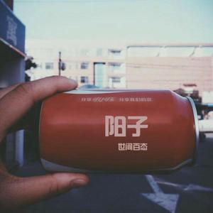 我只缺你DJ（Cover 金贵晟）