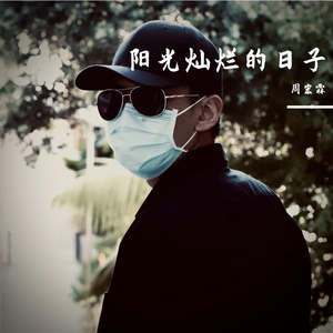 阳光灿烂的日子