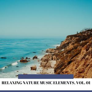 Soothing Night Sound