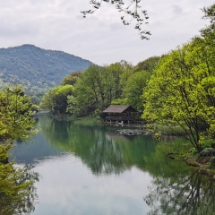 东风送我一江春