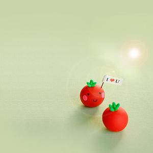 红色的小番茄 (7)