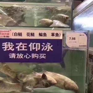 允许部分艺术家先富起来