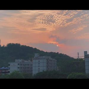 徐秉龙 / 徐秉龙-白羊（柒川南 remix）