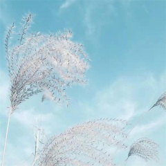 要想练就绝世武功