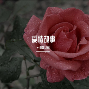 爱情故事