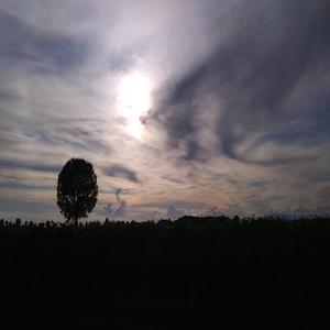 Transfigurations