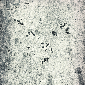 The Hero, The Girl And The Fool