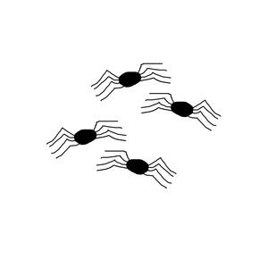 spiders