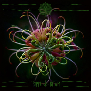 Ritam (Original Mix)