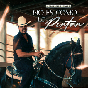 No es Como lo Pintan