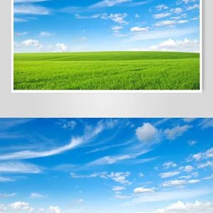 一场游戏一场梦