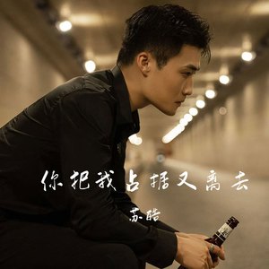 你把我占据又离去 (DJ阿能版)