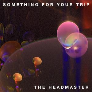 Something for Your Trip