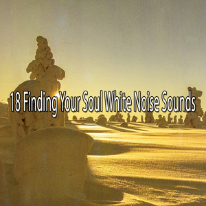 通過噪音培養和諧