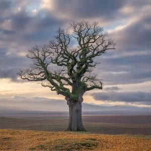 내가 버려질지라도