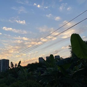 分开的日子里demo