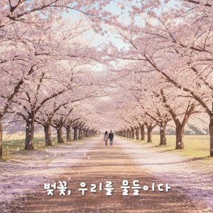 벚꽃 길 10분만 더