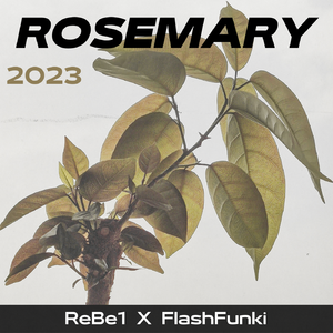 [FREE]"Destiny" x Gunna Type Beat