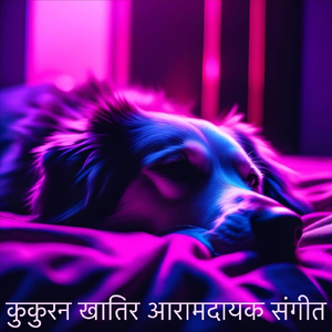 शुरुआत के शुभकामना बा