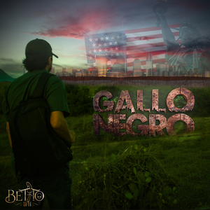Gallo Negro