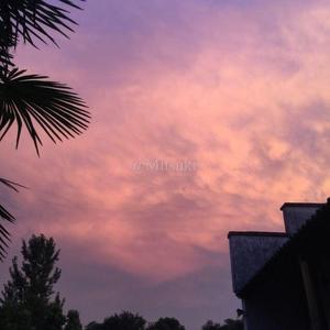 说爱你（翻自 沈以诚）