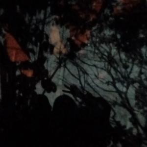 你若尚在（prod by CuD）