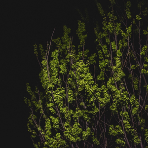 Subject of Suckers, Object of Hate