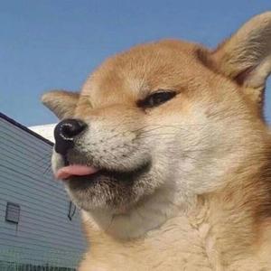 当妮走了（翻自小阿颜）