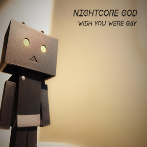 Wish You Were Gay