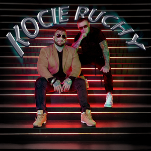 Kocie ruchy