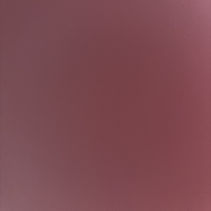 余念