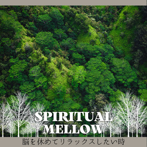 Depths of Silk and Saffron