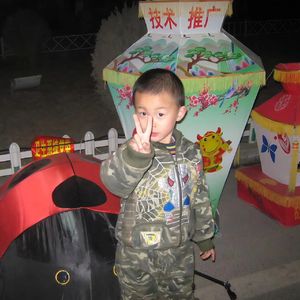 晚枫歌(Cover：孟子坤）