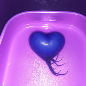 Sang froid (feat. Waax)