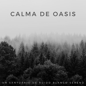 Ecos Del Calmante Anochecer
