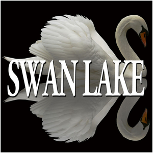 Swan Lake Op.20:III Dance of the Swans