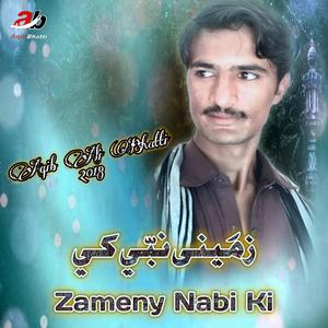 Zameeney Nabi Ki (Zameeney Nabi Ki)