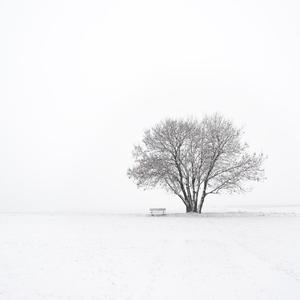 小恋曲（翻自徐良）