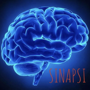 Sinapsi