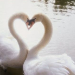 The Crying Game (sped up)