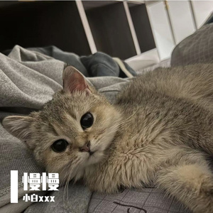 慢慢