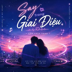 Say Trong Giai Điệu (Vina House Mix)