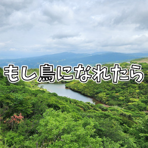 もし鳥になれたら