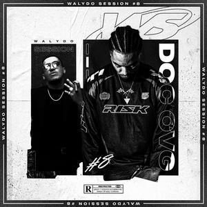 Walydo Session #8 : Doc Ovg